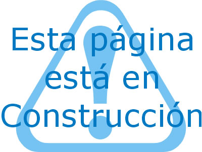 Página en construcción